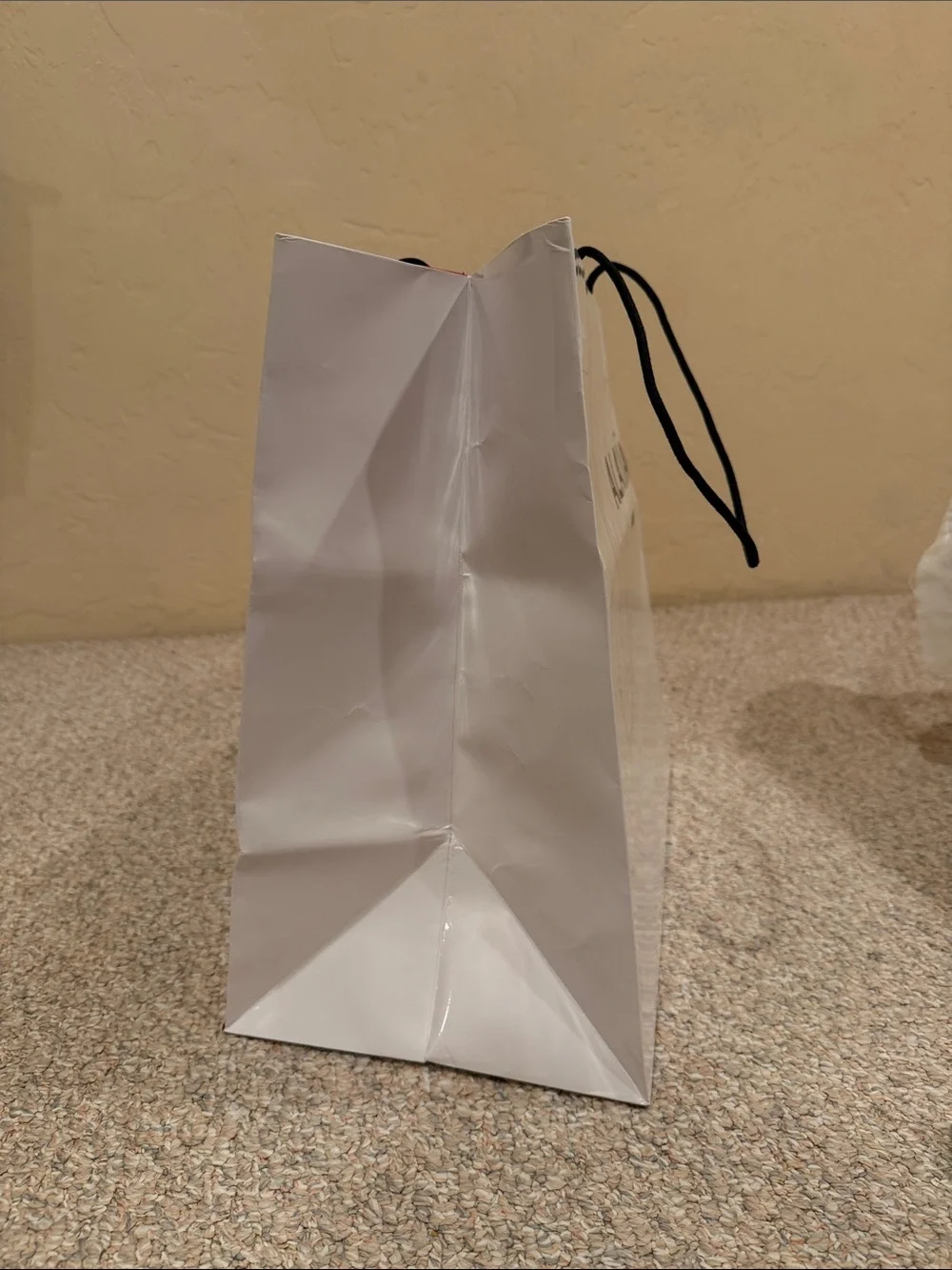 Alaïa Large Gift Bag